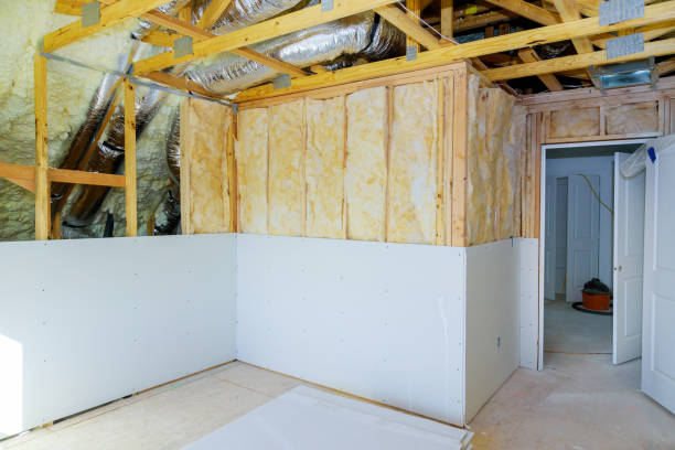 Best Insulation Installation Services in Paw Paw, MI