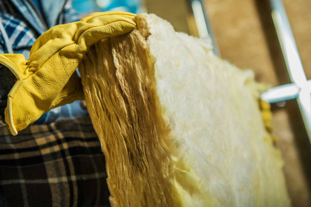 Best Insulation Maintenance and Repair in Paw Paw, MI